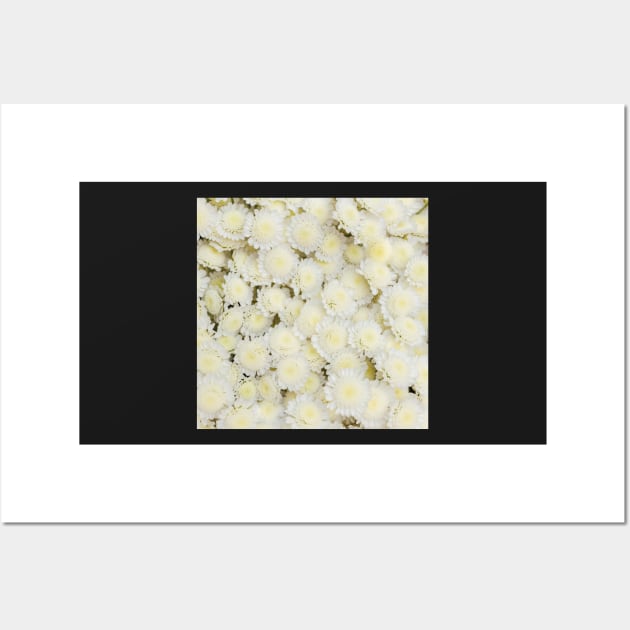 White And Yellow Flowers Wall Art by mehdime